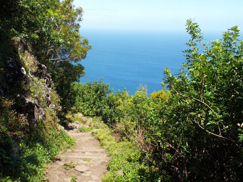 The enchanting blue water of the Pacific is so enjoyable to look out to: