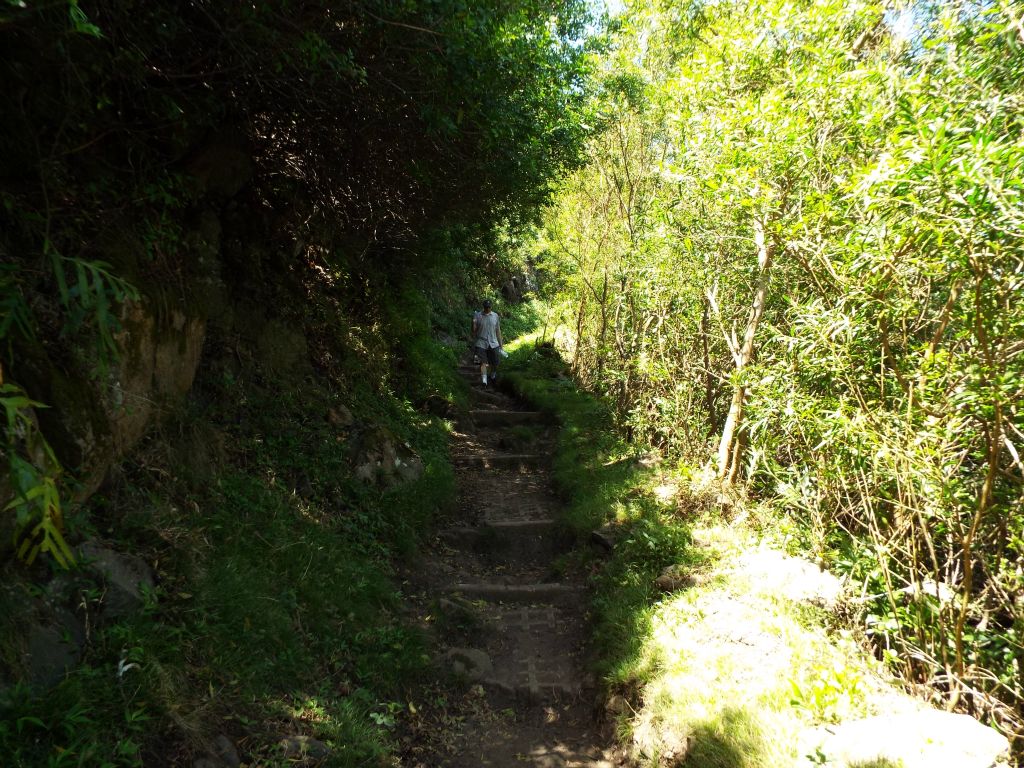 Charlie heading down the trail.  Like me, he also fully enjoyed this trail and our visit to Molokai: