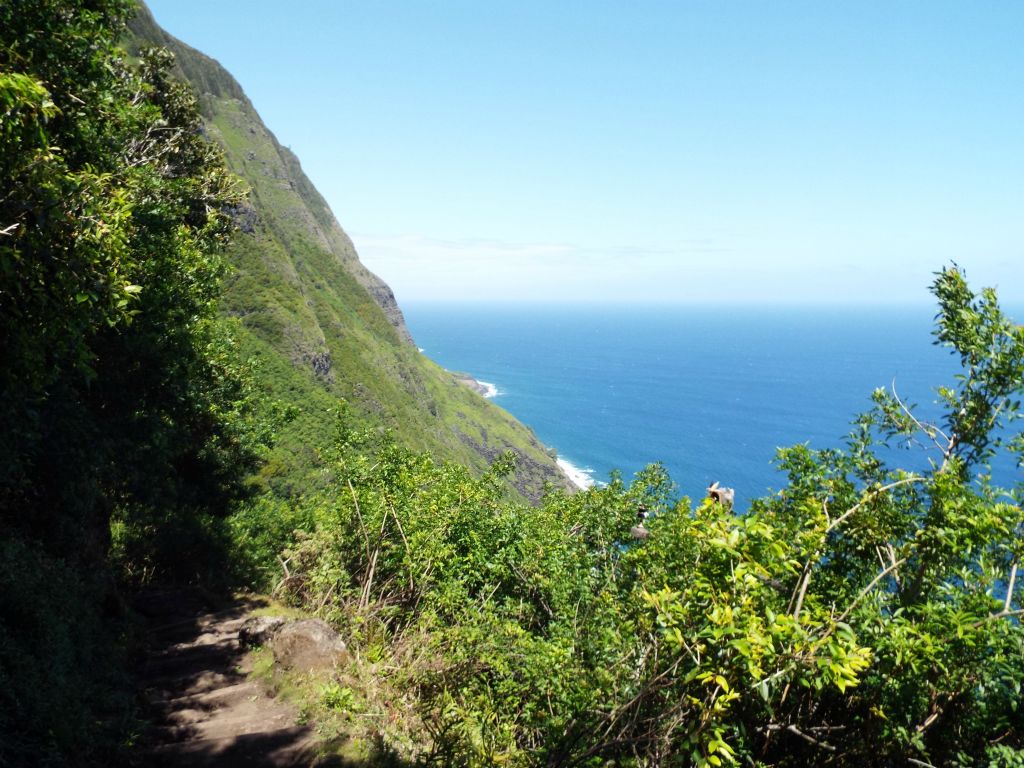 Being about halfway down now, notice how we were looking out toward the middle of the sea cliffs, rather than the upper portions: