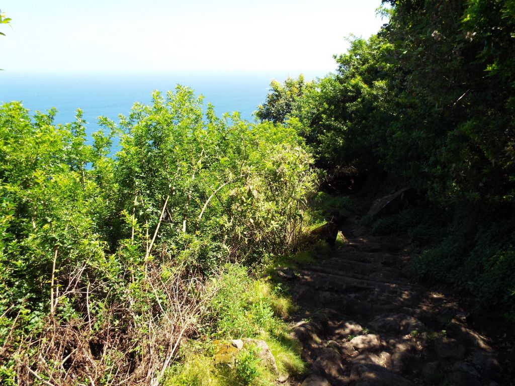 The steepness literally never lets up until you near the bottom of the trail:
