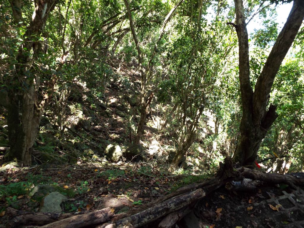 The trail works its way through or around several small ravines and gullies which flow down the hillsides: