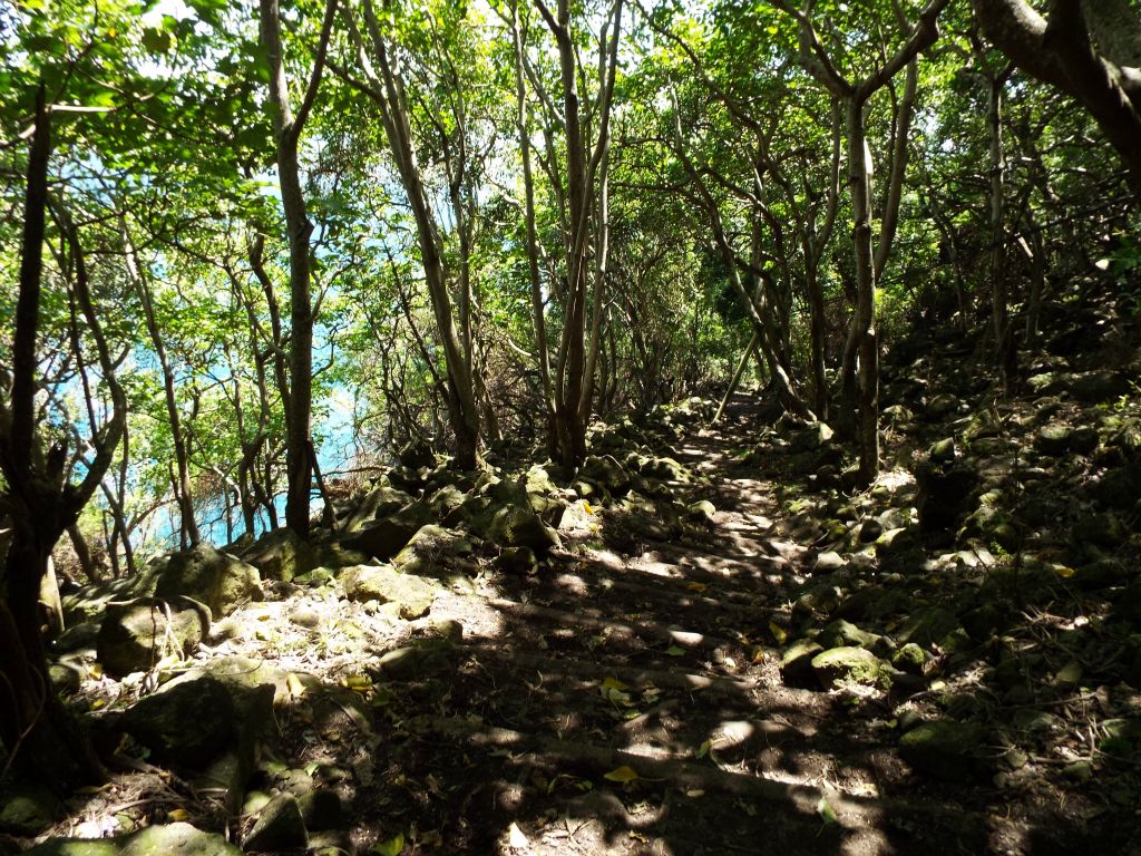 The hillside through this area was strewn with boulders all over the place: