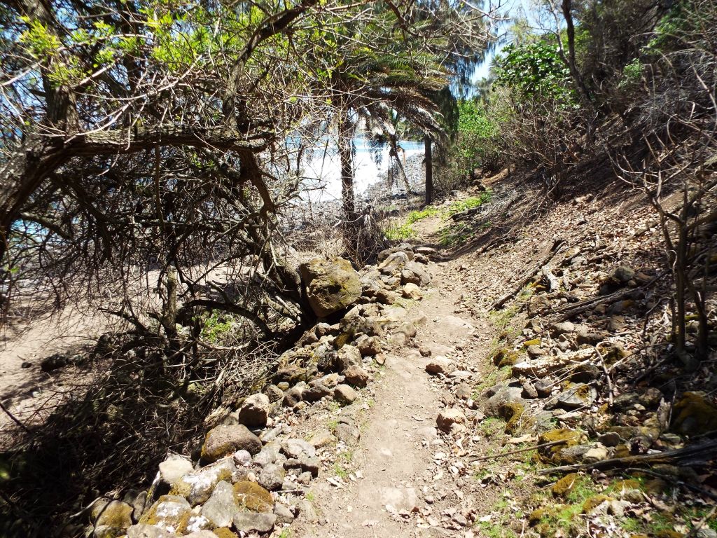 The spot where the trail finally reaches sea level just above the beach: