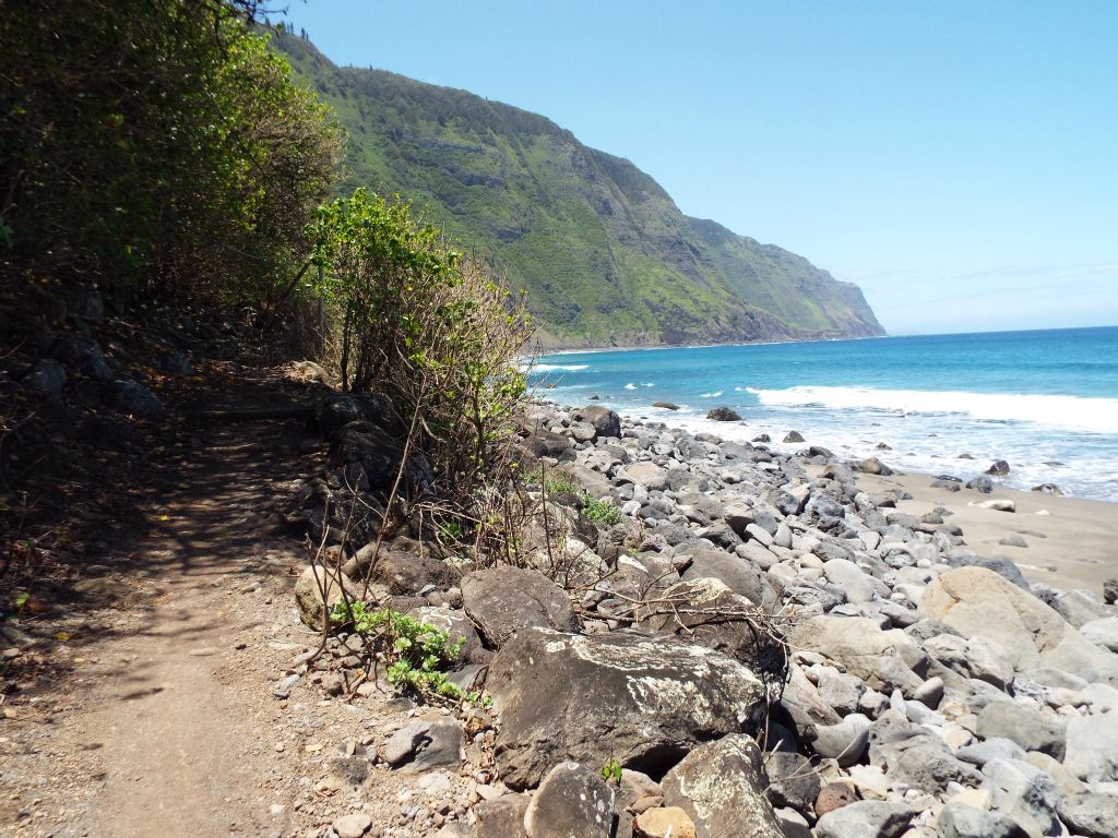 Areas of sand started appearing along the beach: