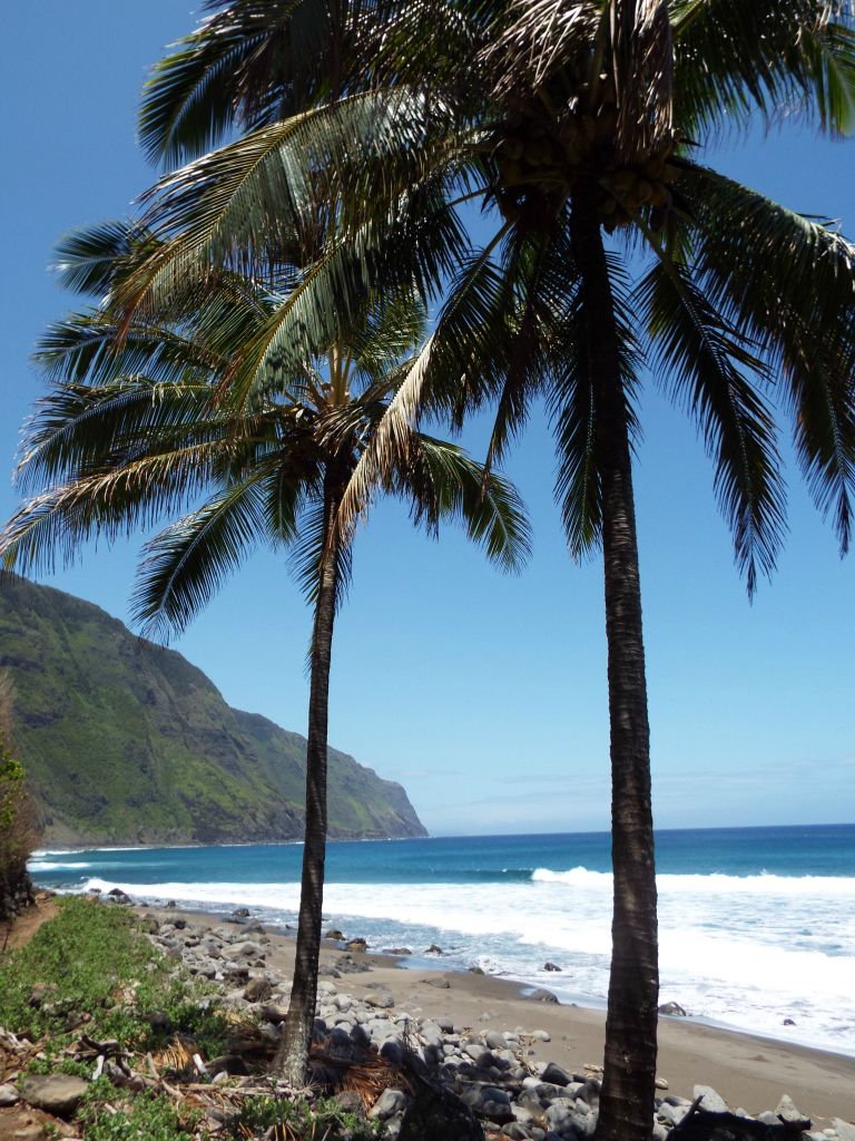 More beautiful palm trees line the western edge of the long beach:
