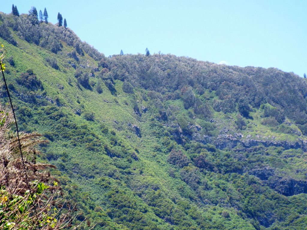 Zooming in on the top of the cliffs, the Kalaupapa Overlook is located near the far right side of the picture: