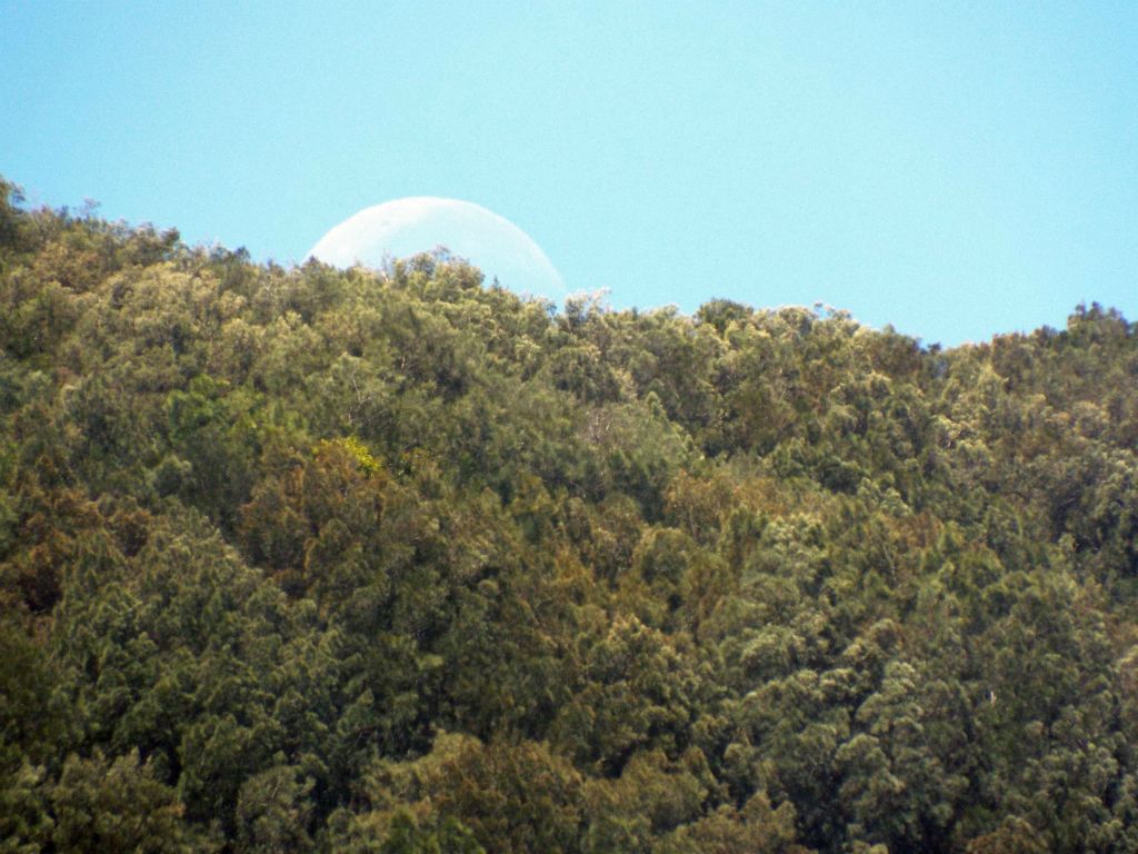 The moon was rising above the pali (or cliffs), providing for remarkable photography: