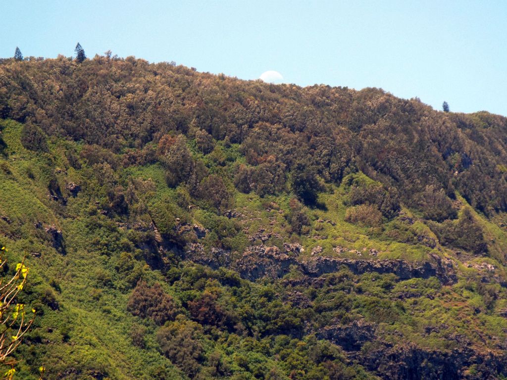 Two more pictures showing the moon rising above some of the tallest sea cliffs in the world: