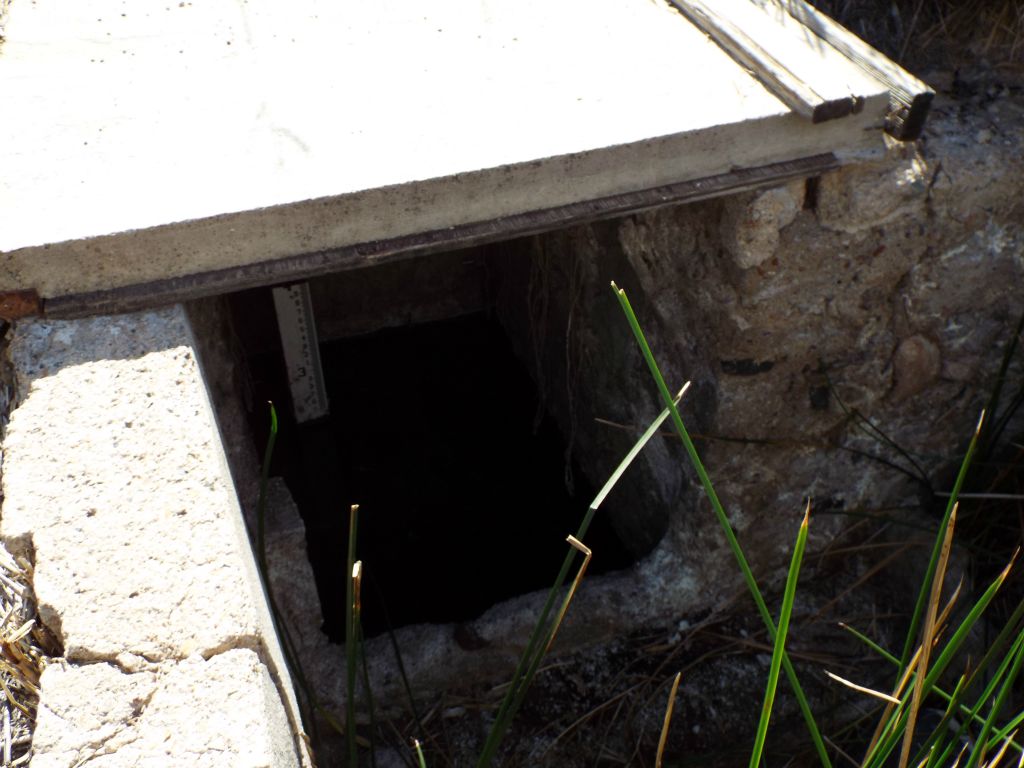 Hidden near the beginning of the loop hike is this concrete basin used for research purposes: