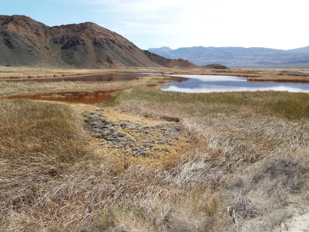 I began circling around the ponds to the northwest to look for better views: