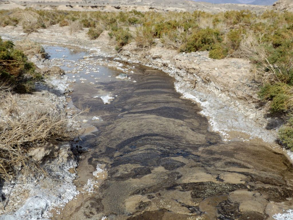 We soon noticed that the water's surface appeared to have some type of "pond scum" on it anywhere that water was not moving swiftly: