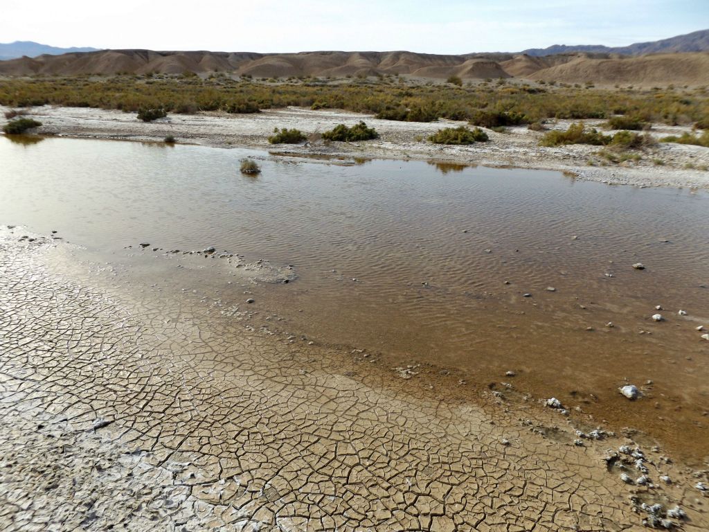 Looking across at the small foothills we had passed through in order to reach the Amargosa River:
