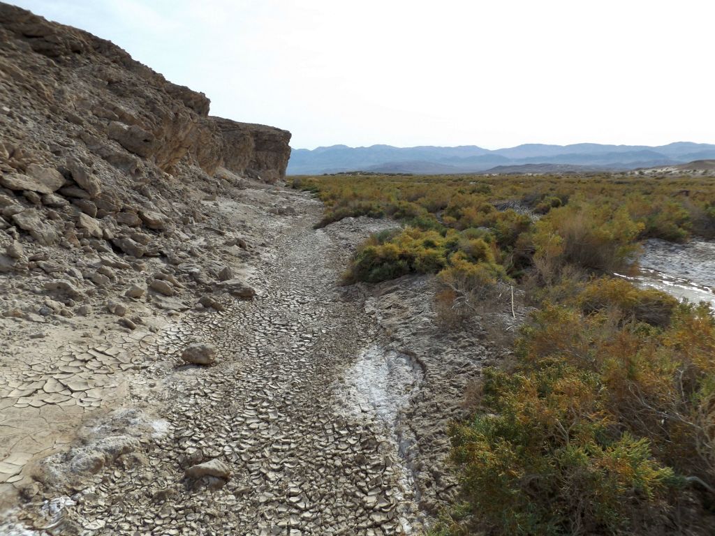 While passing through this area, we stayed to the left in order to have a walking route clear of brush: