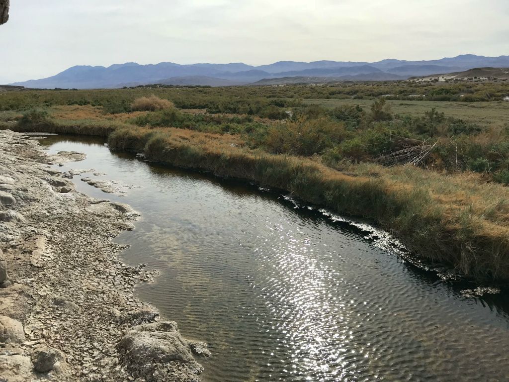 A scenic portion of the river with sunlight reflecting off the water: