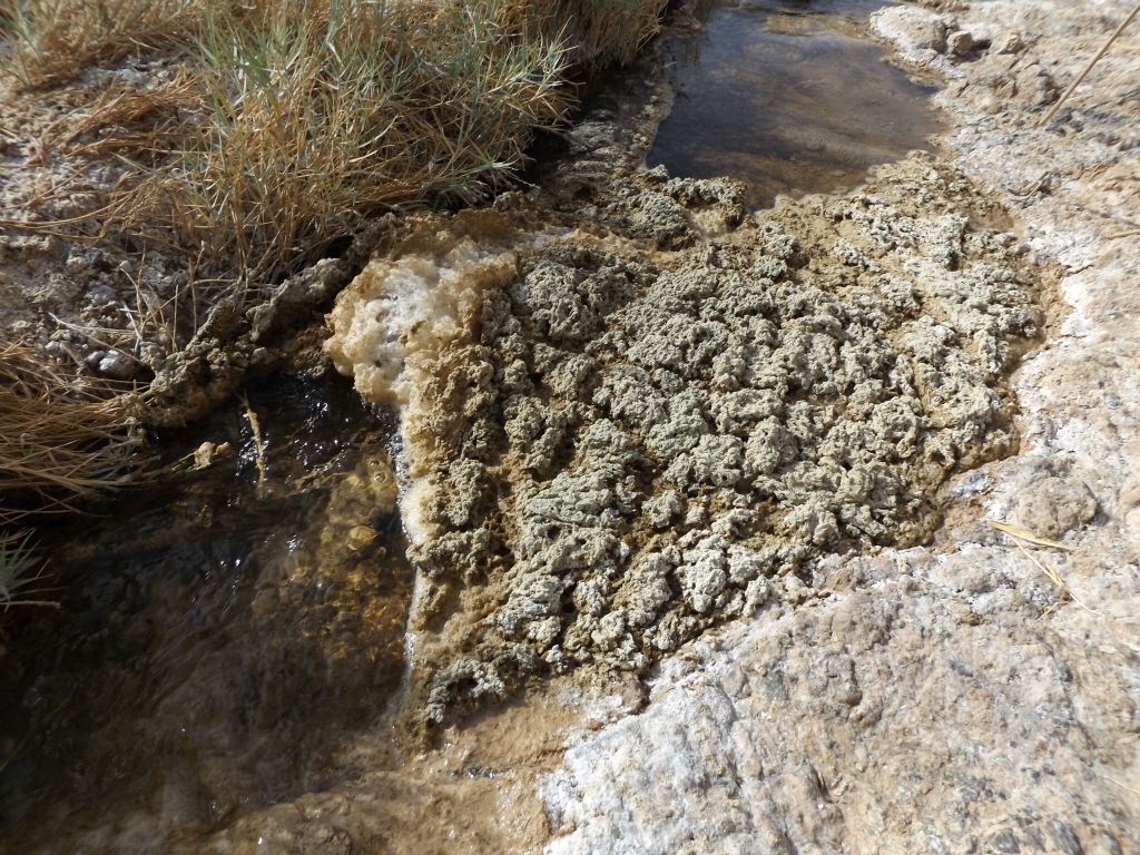 With the "pond scum" on the surface, this may not be the best source for drinking water in the park: