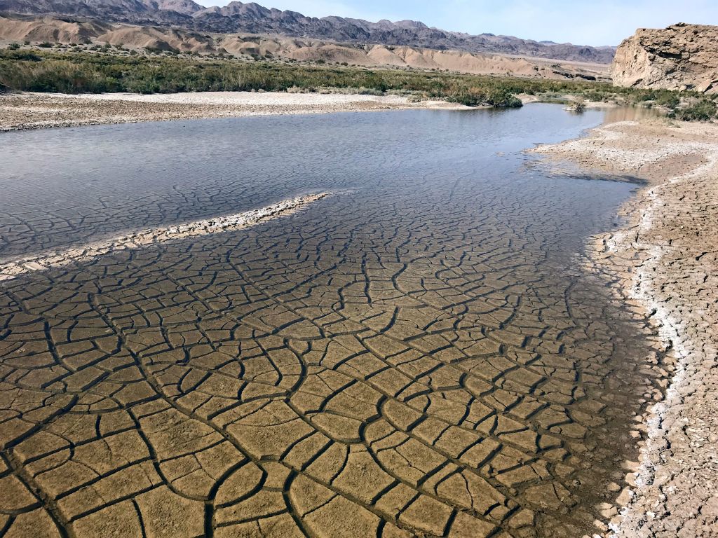 Looking downstream at the extensive cracked mud patterns visible underwater: