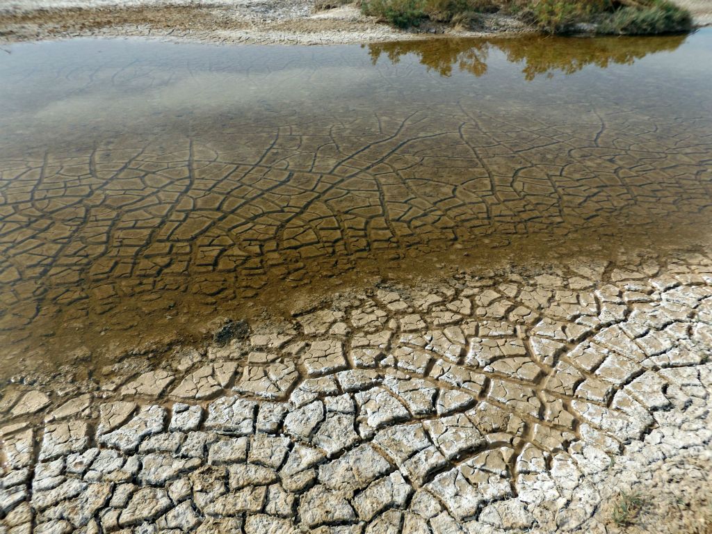 Cracked mud both above and below the surface of the water: