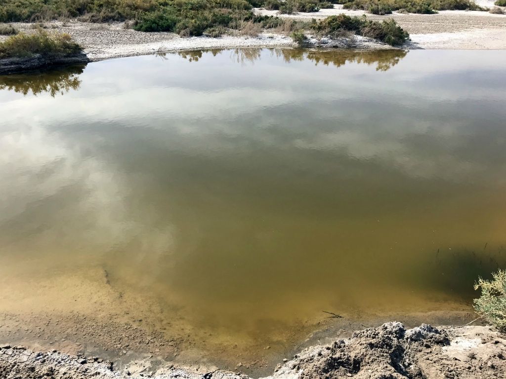 The first large pond that we found in the Valley Spring area: