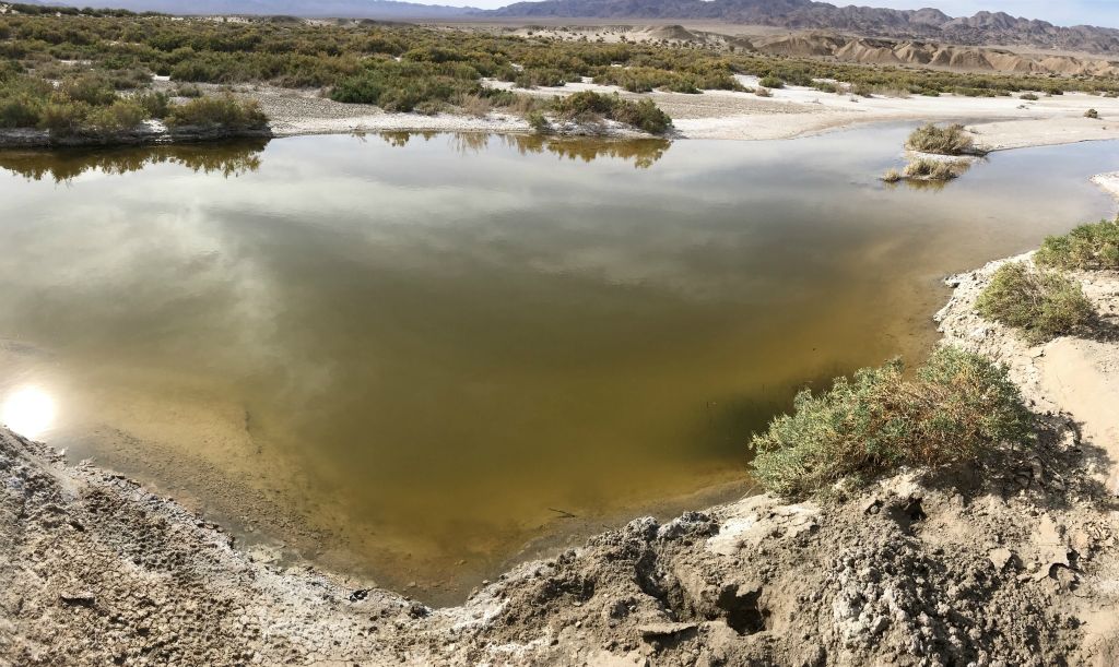 A wider view showing more of the first large pond: