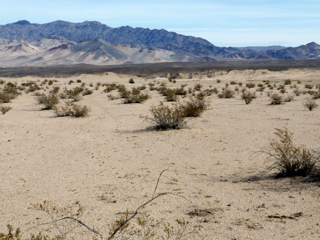 The hike begins by heading east with McLain BM (left) visible on the background range: