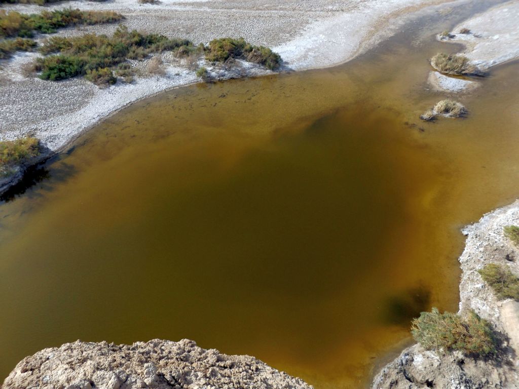 The downstream end of the first large pond.  Notice that the pond looks fairly deep in the center:
