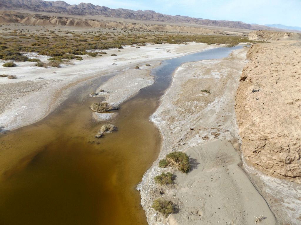 The pond releases water as the Amargosa River flows downstream:
