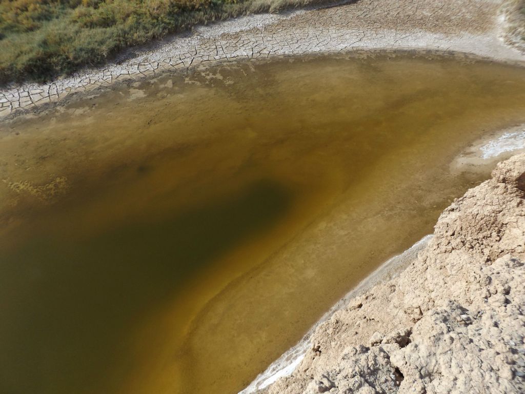 Looking down into the deep portion of the second large pond:
