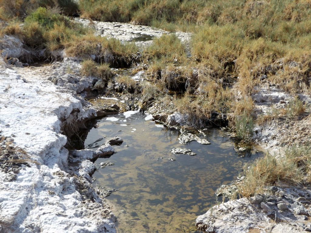 Several tiny waterfalls were pouring over in this channel: