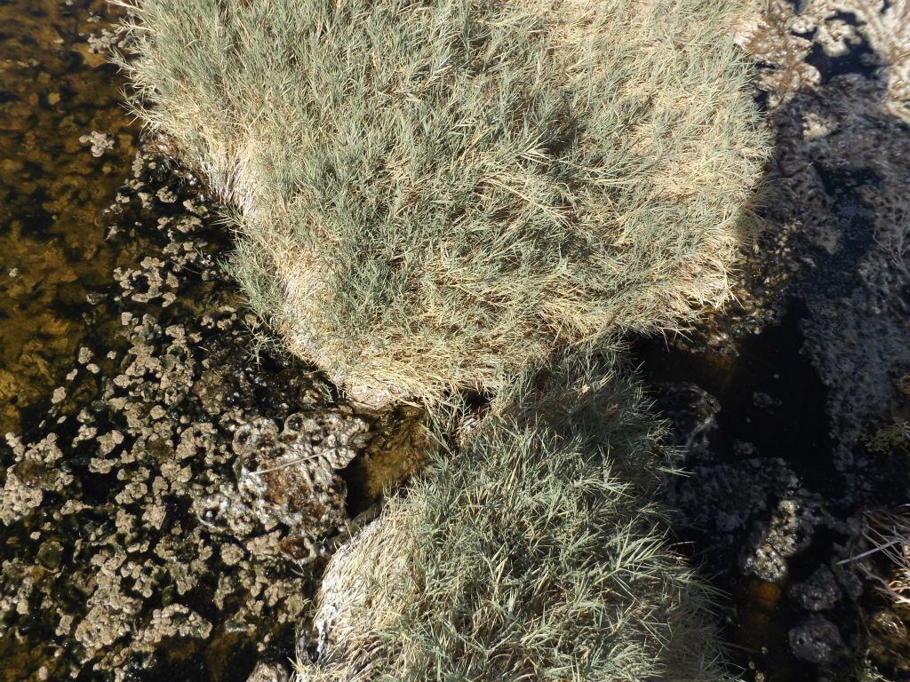 I found this small gap in the riverbank which allowed water to flow out of the pond and down a small stream: