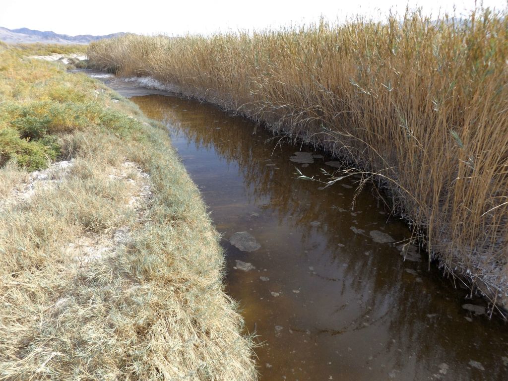 Beyond the first river fork (as marked on our map), we found one more channel filled with surface water: