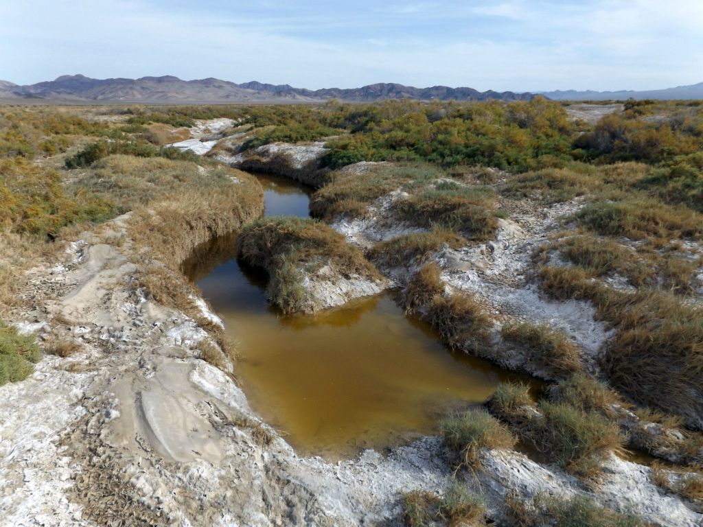 After 2 miles following the Amargosa River, we reached the spot where surface water begins.  Past this spot, all channels were dry: