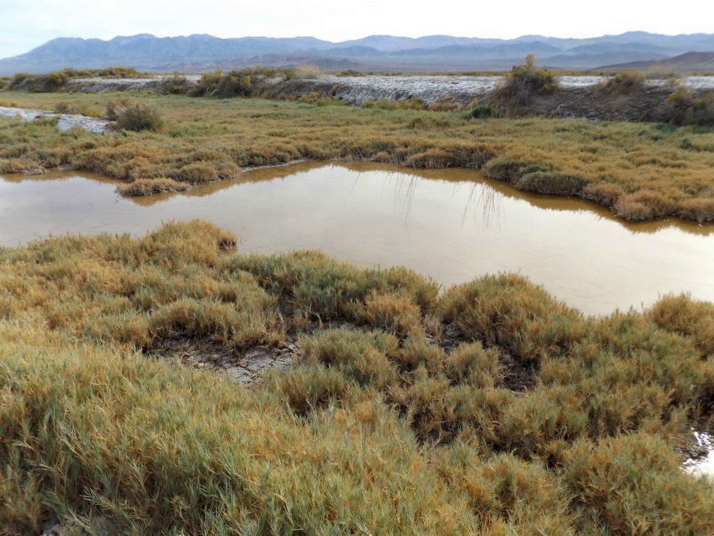We then crossed over to the southwest toward a minor fork and found more surface water: