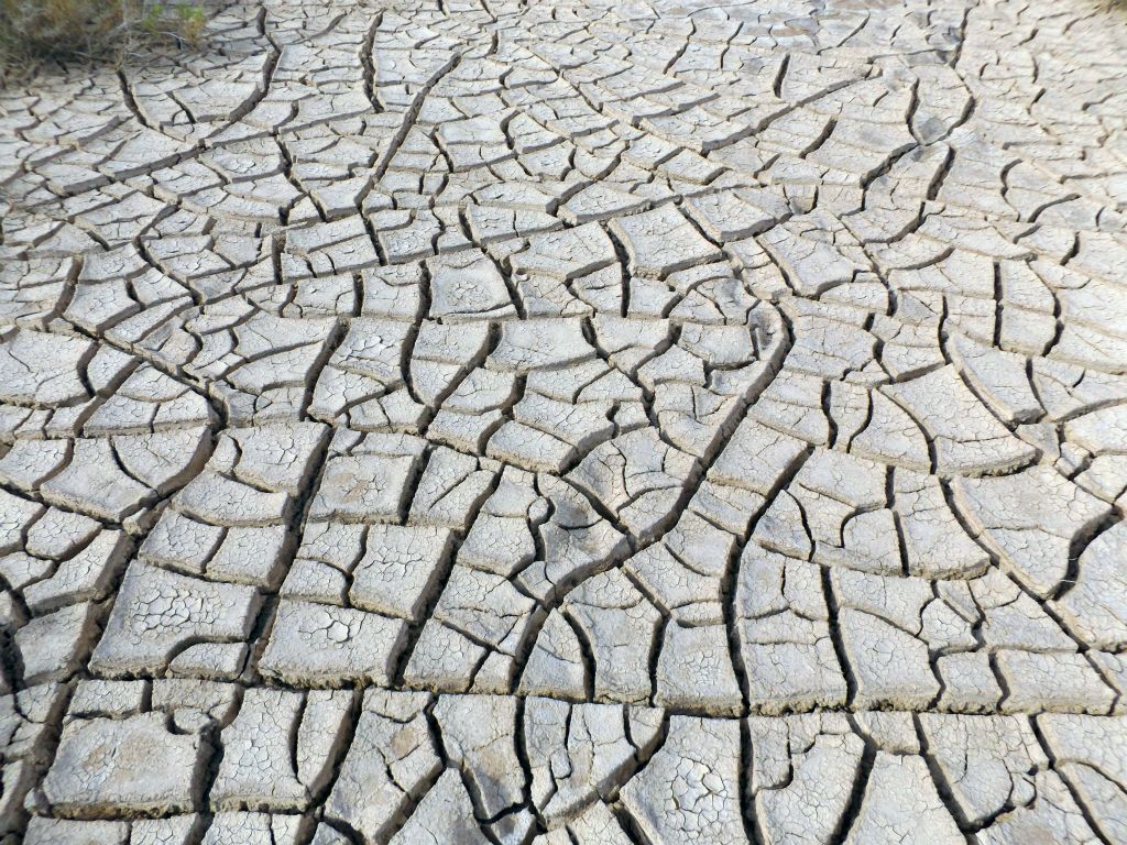 Dried cracked mud with deeper indentations that were several inches thick: