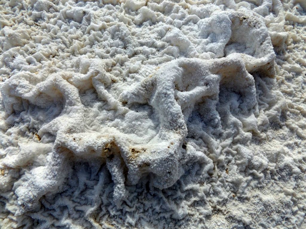 We found these interesting salt formations along a dry riverbed seen in the next two pictures: