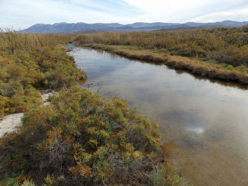 As we followed a section of the second major river fork we had missed earlier, a long channel of water could be seen: