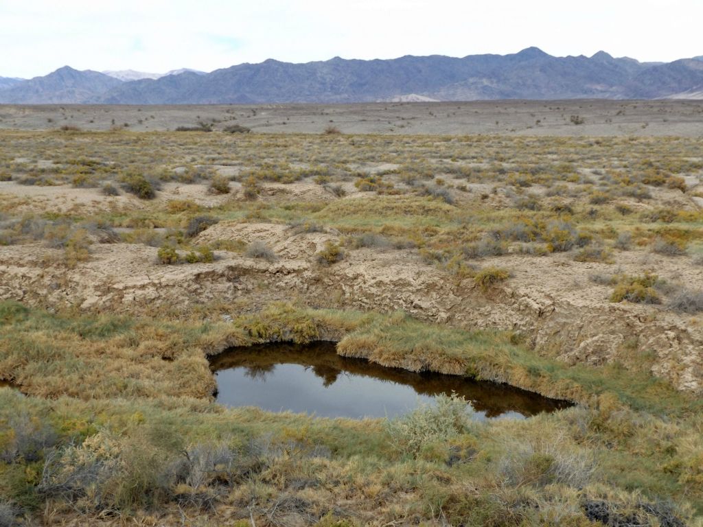 One final smaller pond before we turned away from Valley Spring and the Amargosa River and hiked back toward our vehicle: