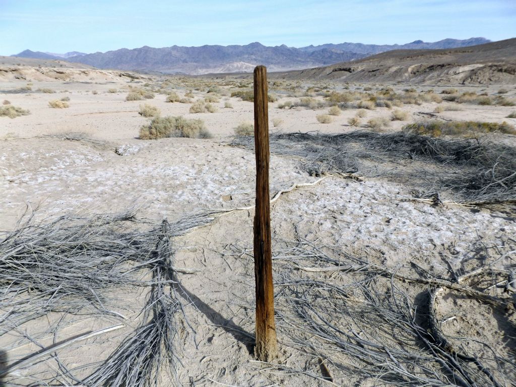 This wooden marker had been placed in the ground for some unknown reason:
