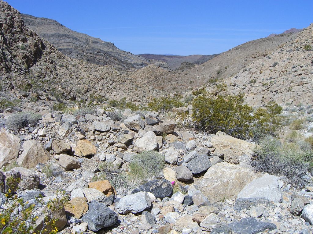 We rounded a bend and had our first view of the vast grand landscape which awaited us: