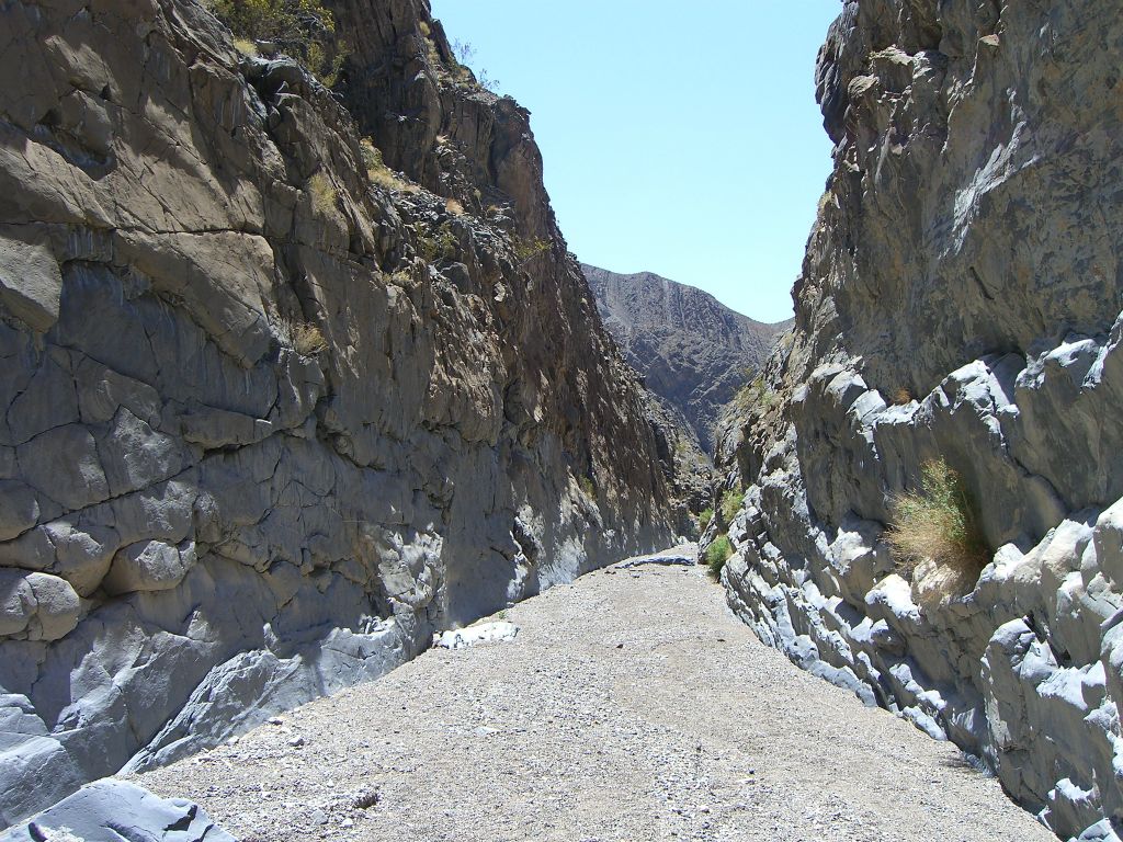 Plants are able to find a way to grow at various locations on the canyon walls: