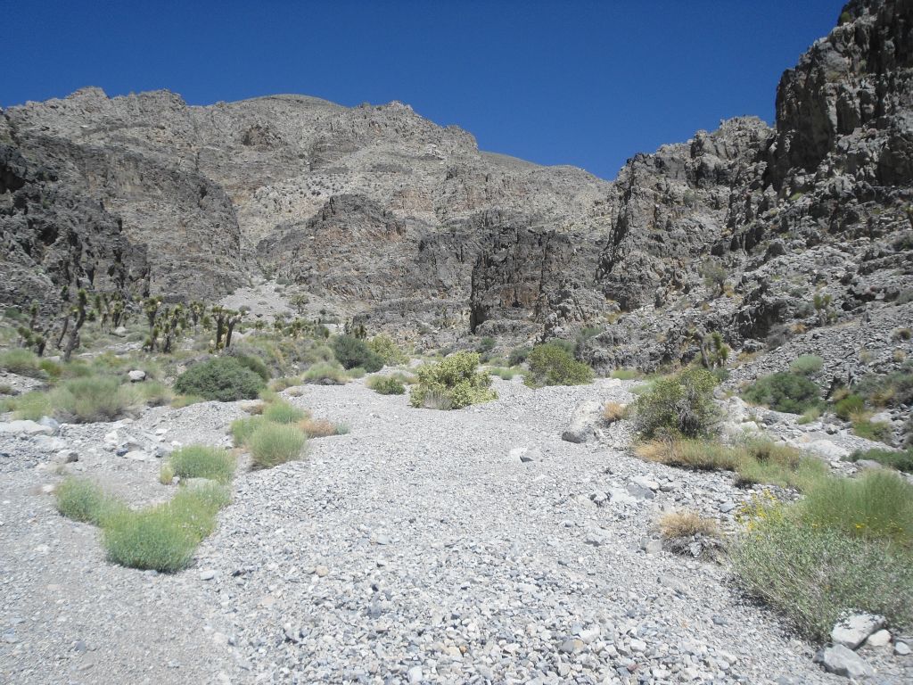 Entering the canyon that is at the base of the ridge.  We walked through this canyon and circled around to the back side: