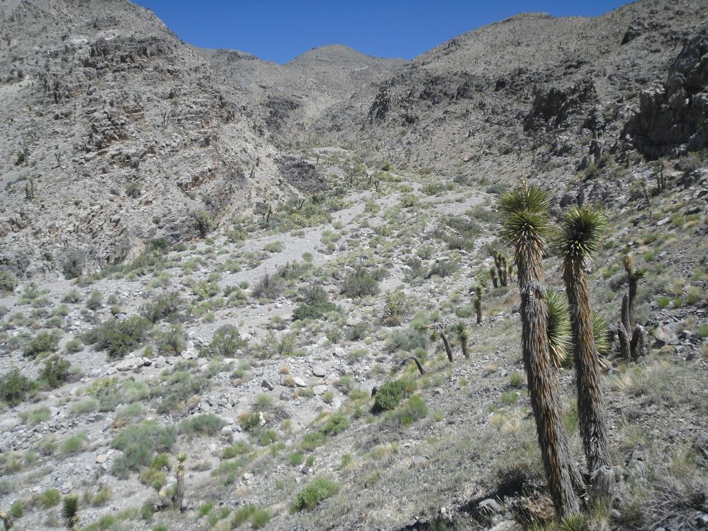 Looking further up the canyon as we began our ascent of the ridge: