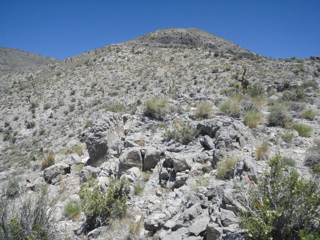 Looking up at the ridge line we were now following: