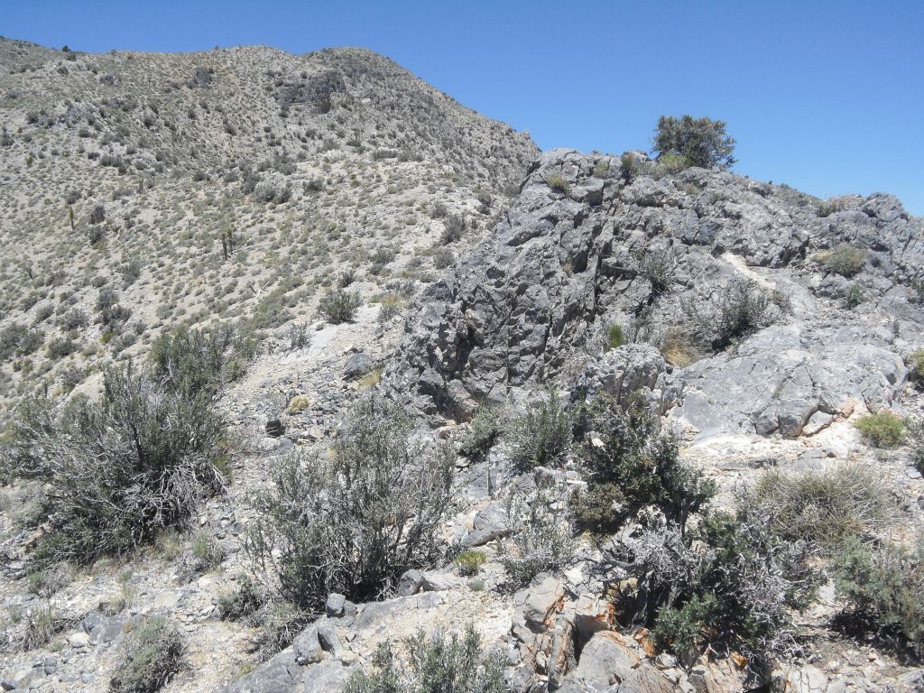 Following the ridge up was fairly easy, it was just slow going due to the steepness and amount of water we were all carrying: