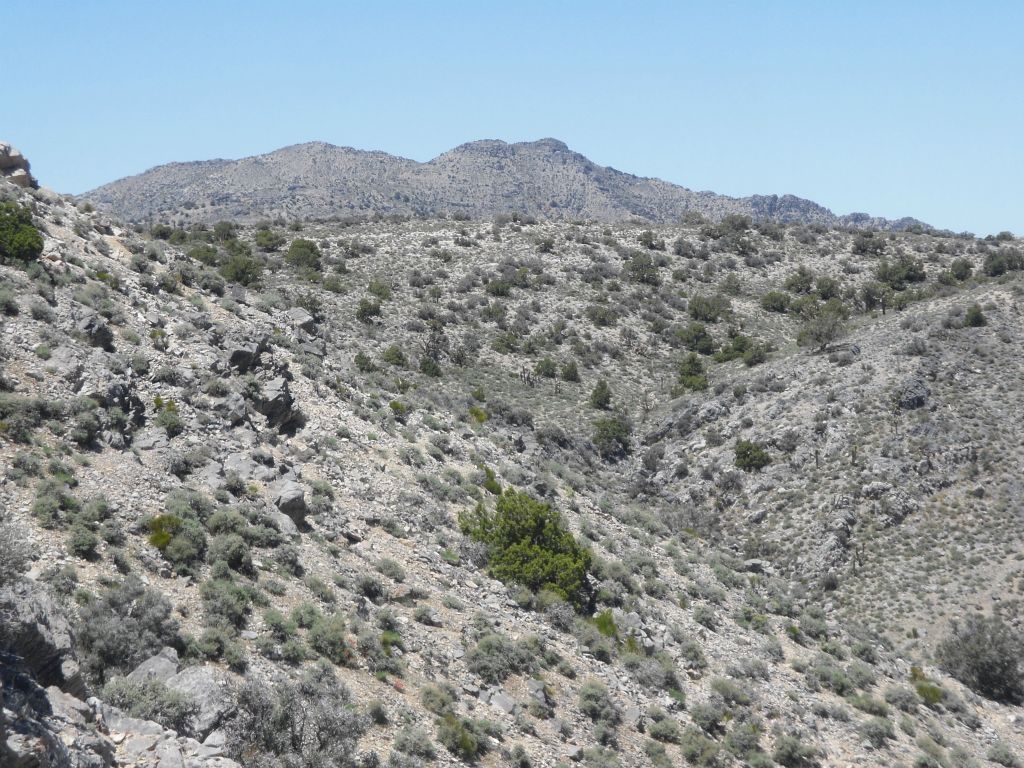 This was the first view we had of another mountain off in the distance which was not connected to our ridge line.  But this was not Dry Mountain: