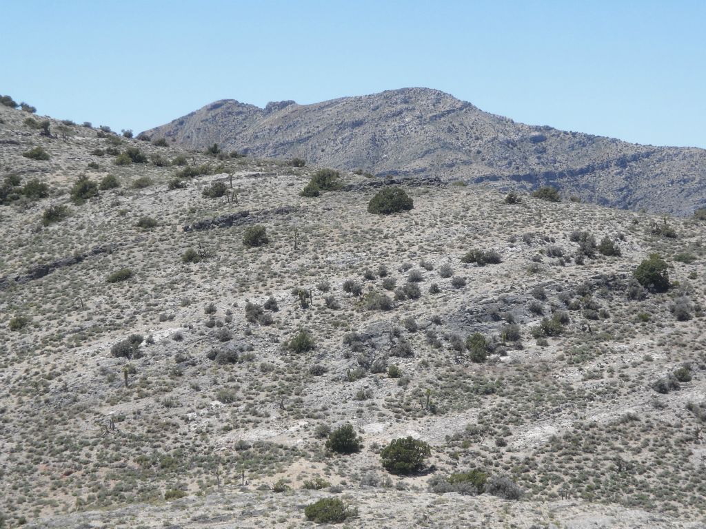 A few minutes later, we had our first view of the real Dry Mountain.  It is extremely hard just to get to this point and finally have a view of Dry Mountain: