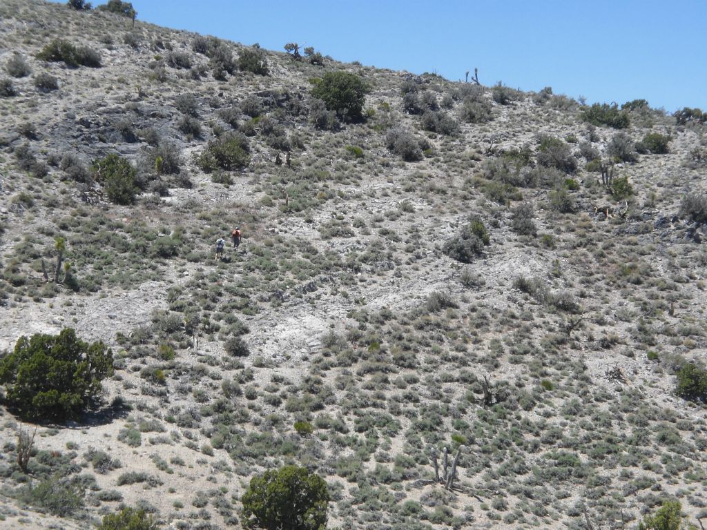 Our fellow hikers ahead of me as they are making their way up to the saddle:
