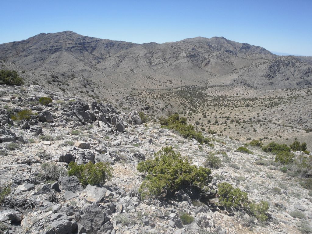 From the saddle, we headed northwest towards another ridge which we could follow down to the base of Dry Mountain:
