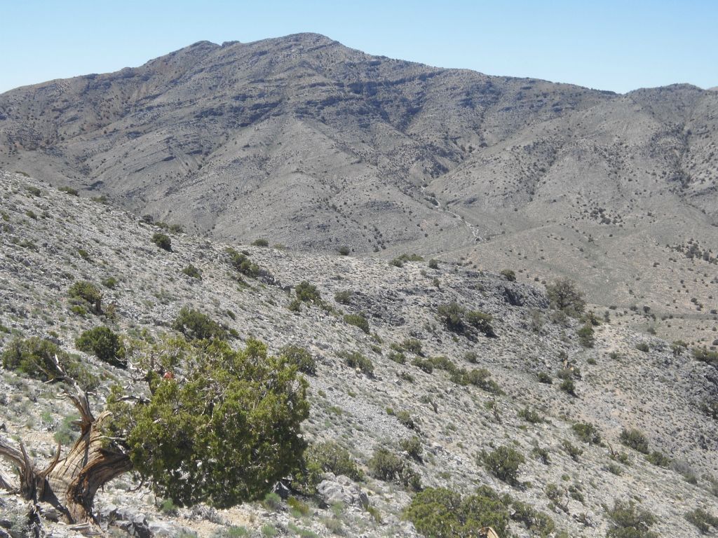The next five pictures all show you various rare views of Dry Mountain as we headed down the ridge towards the valley of pinyon pines.  The pictures can help you visualize the route we took to the summit: