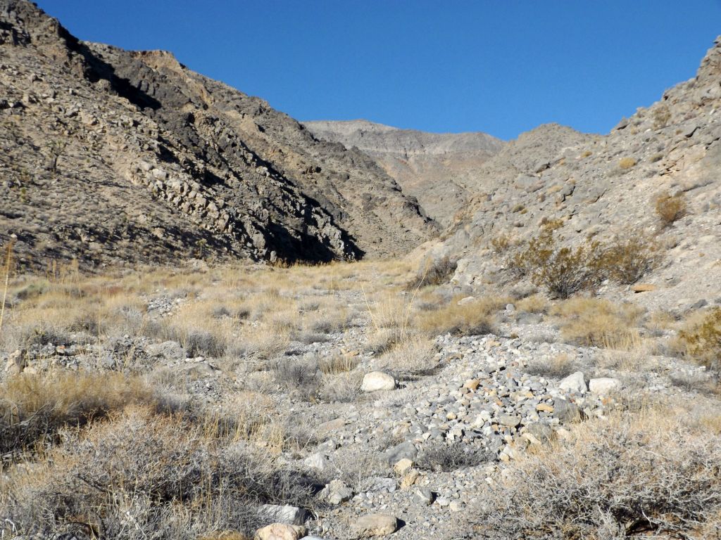 Looking into the canyon while standing at the mouth.  It is always exciting to enter an undocumented large canyon for the first time: