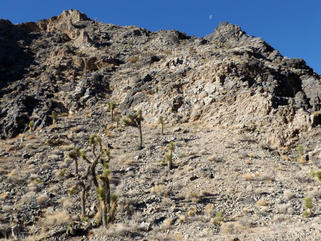 The hillside was partly dirt and partly solid rock, leading up to some jagged outcroppings: